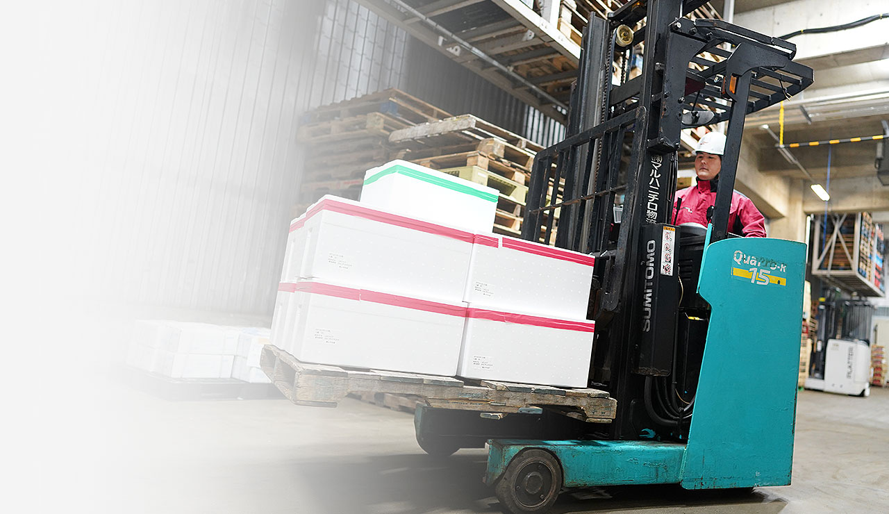 採用情報　メインビジュアル