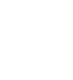 男女比（正社員）